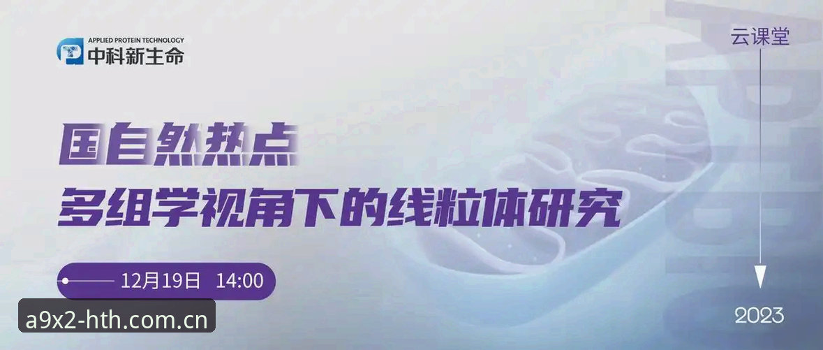 揭秘HTH最新版本v3.0.1背后的真相：你不知道的五大突破性升级